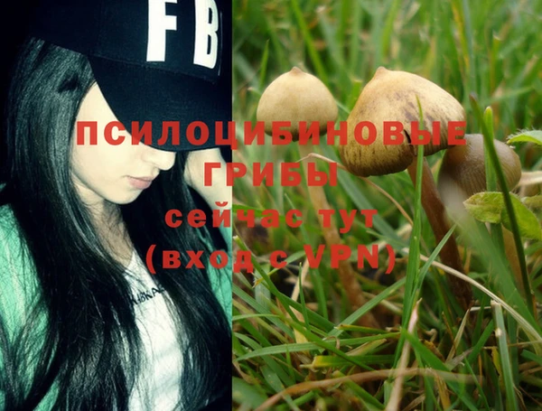 винт Абинск