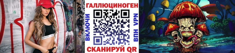 Псилоцибиновые грибы Psilocybine cubensis Барнаул