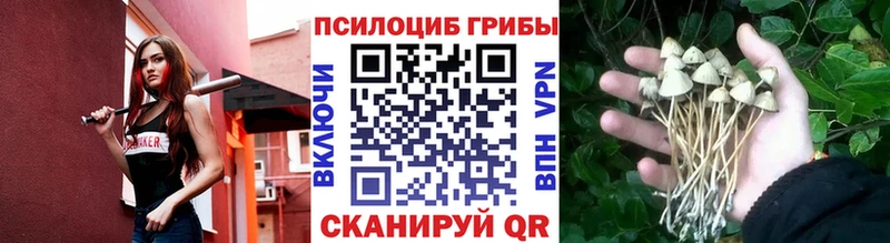 OMG зеркало  Барнаул  Псилоцибиновые грибы мухоморы  купить наркоту 